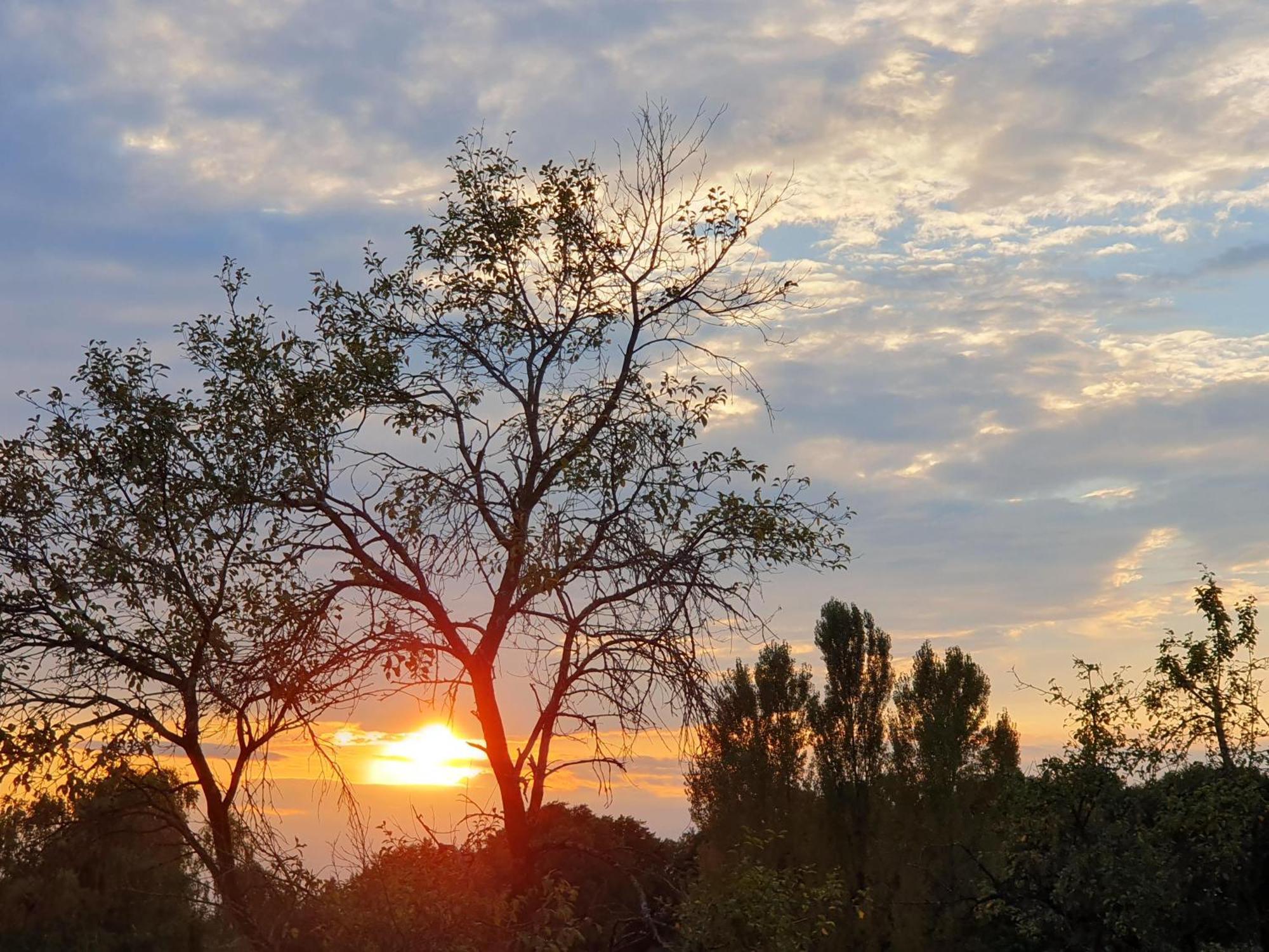 Sankt Peter am Ottersbach Weinhof Reichmann B&B 외부 사진