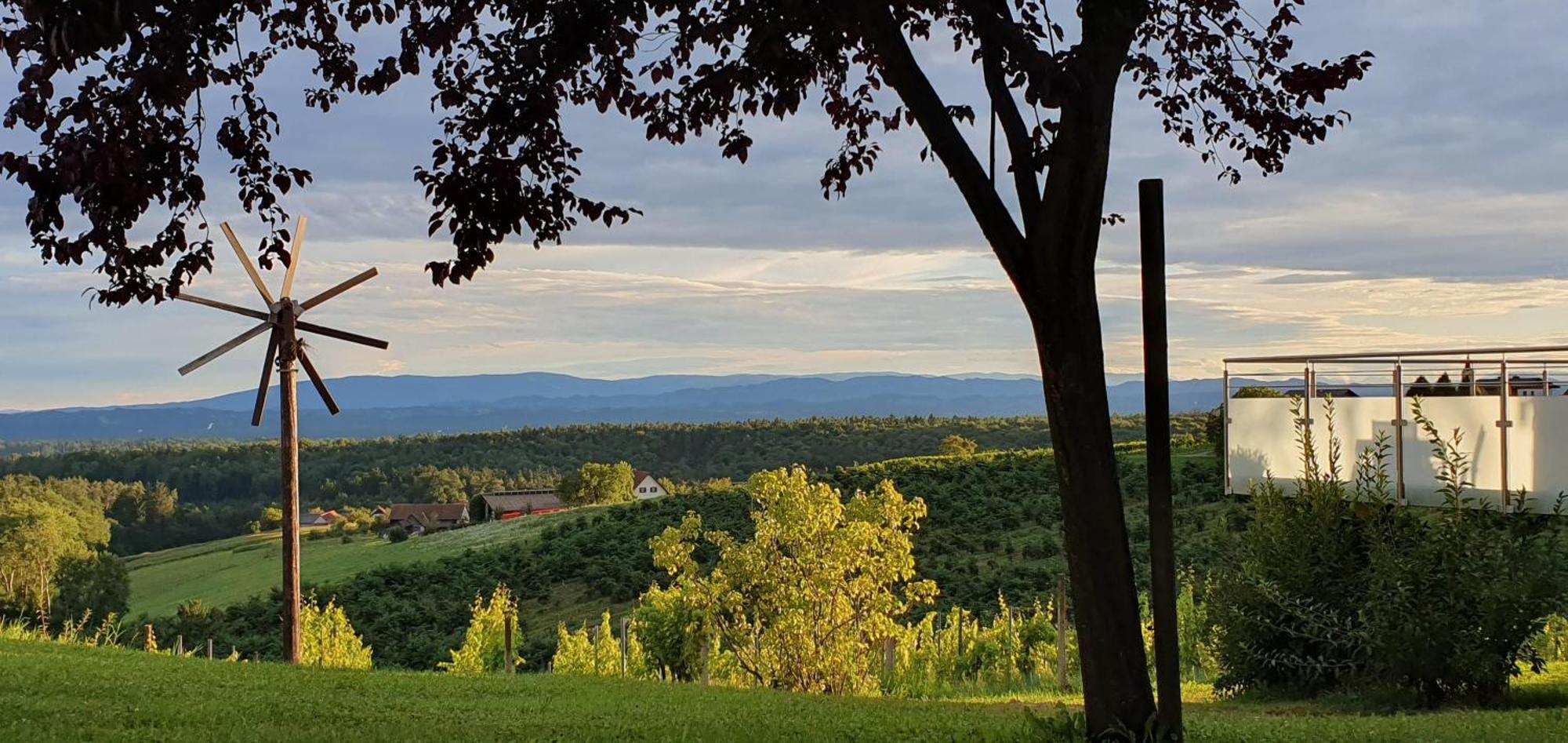 Sankt Peter am Ottersbach Weinhof Reichmann B&B 외부 사진