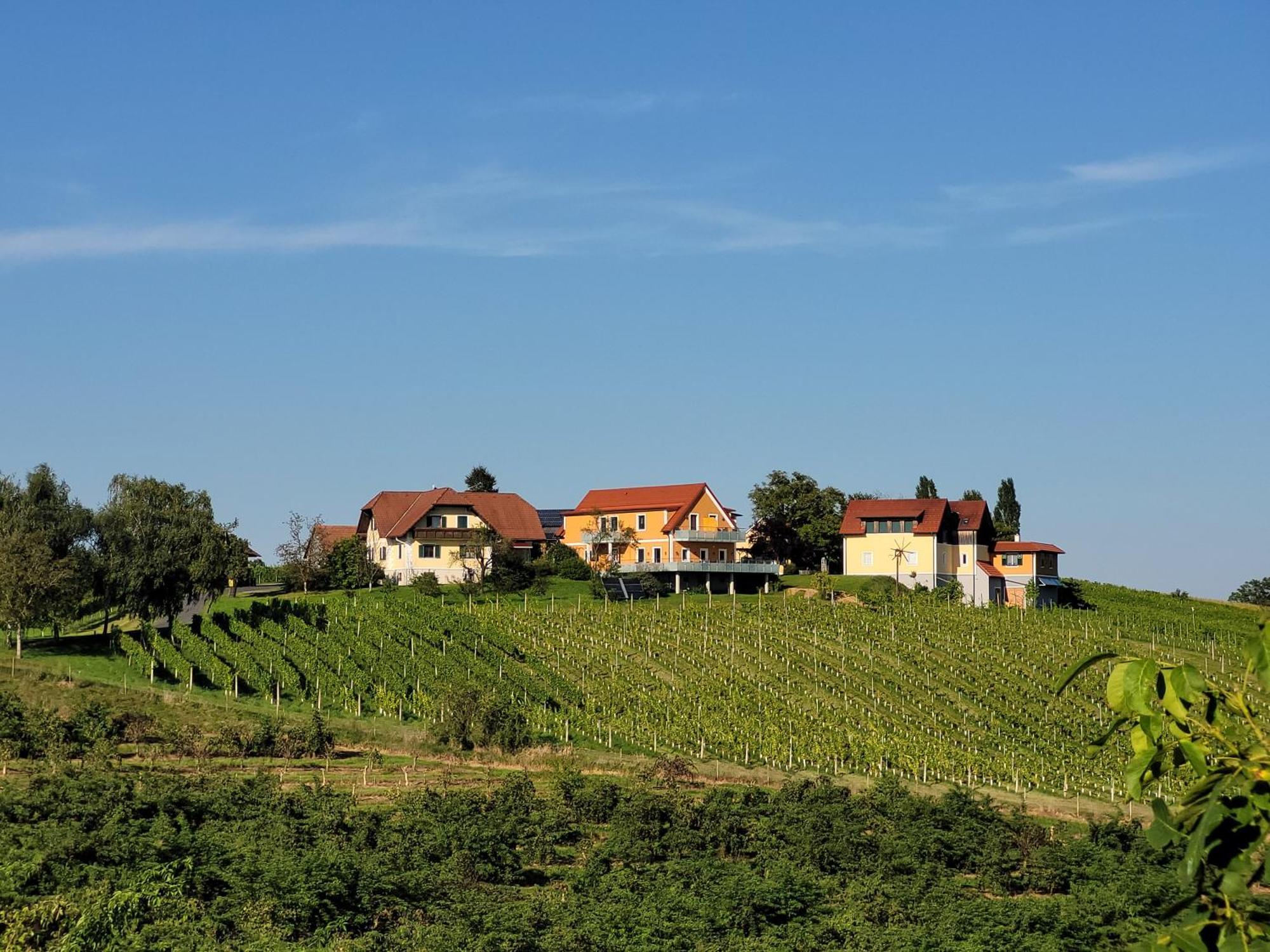 Sankt Peter am Ottersbach Weinhof Reichmann B&B 외부 사진